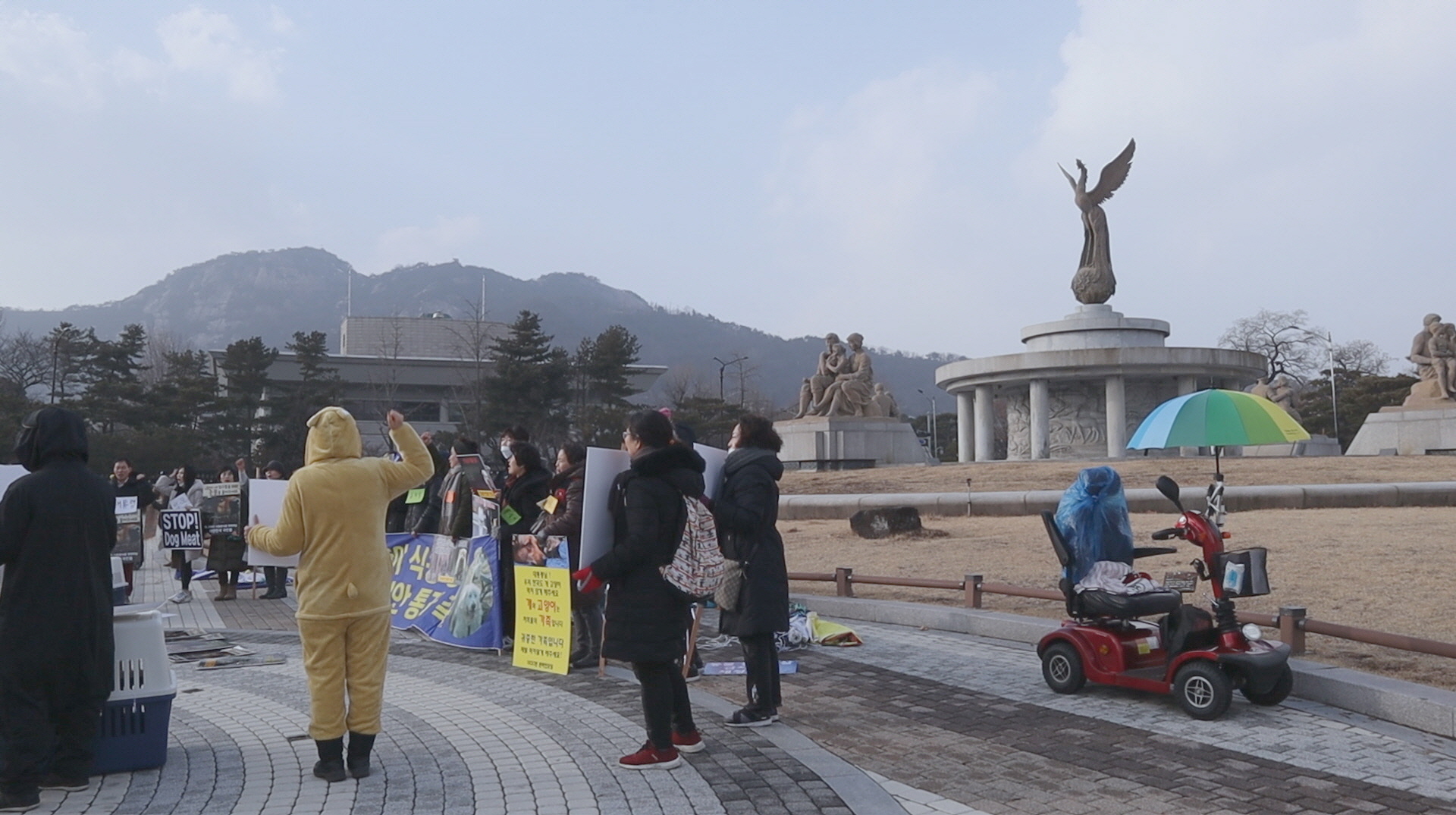 고양이에게 밥을 주지 마세요